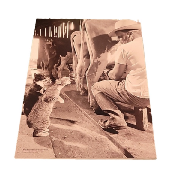 2019 LIFE Magazine "Cats: Companions in Life" Brand New Condition - Picture 6 of 6